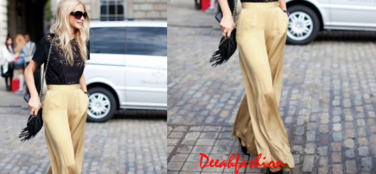 Trend Pallazo Pants StreetChic Trend Pallazo Pants StreetChic
