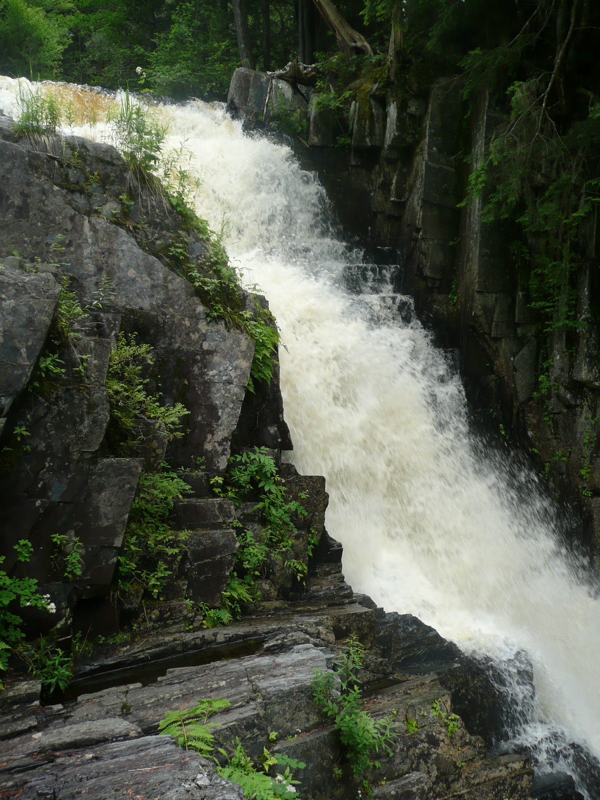 Tips from Chip Hike Little Wilson Falls