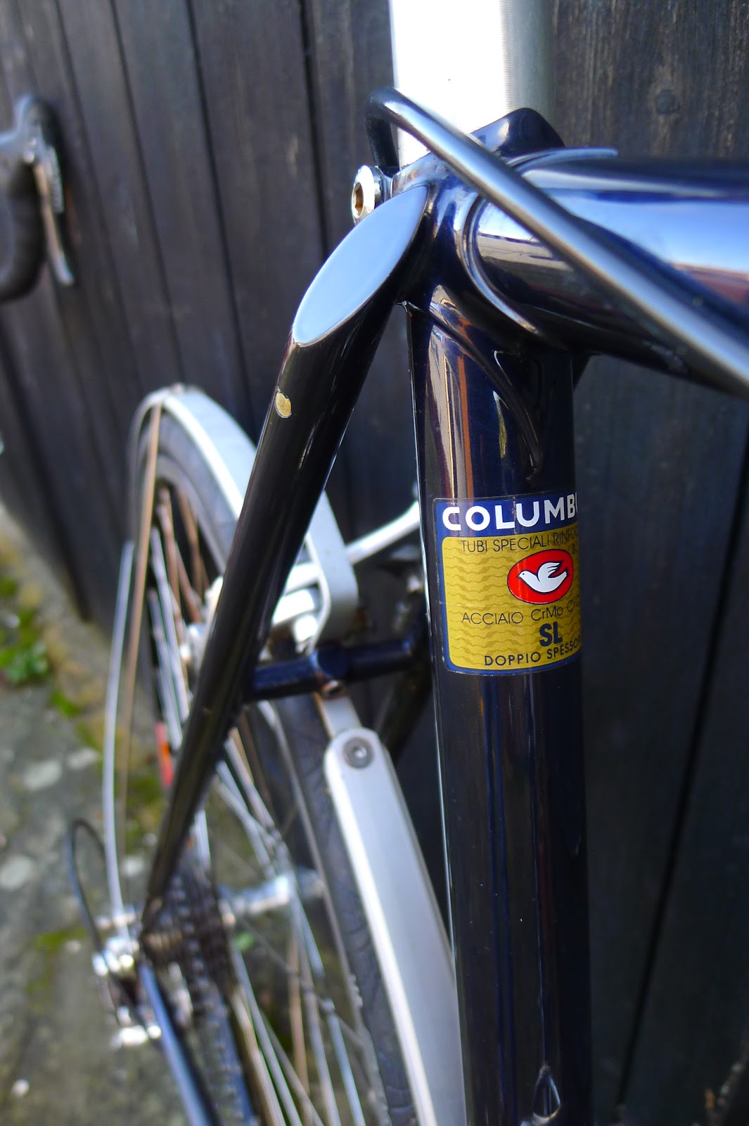 salmon mudguards