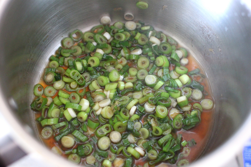 Food Endeavours of the Blue Apocalypse Spring Onion Soy Sauce