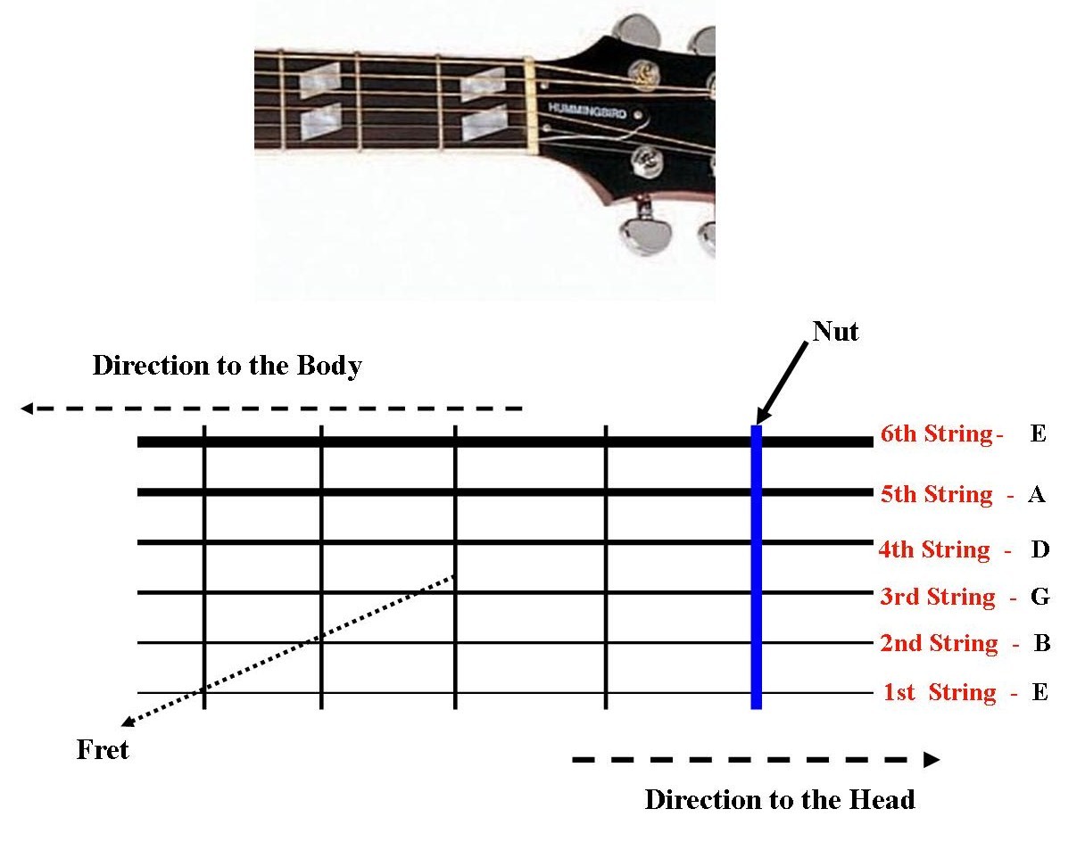 Guitar Layout