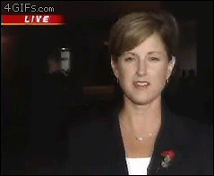 News Reporter