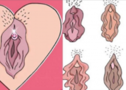 Fotos sobre el clitoris Bbw old granny sex