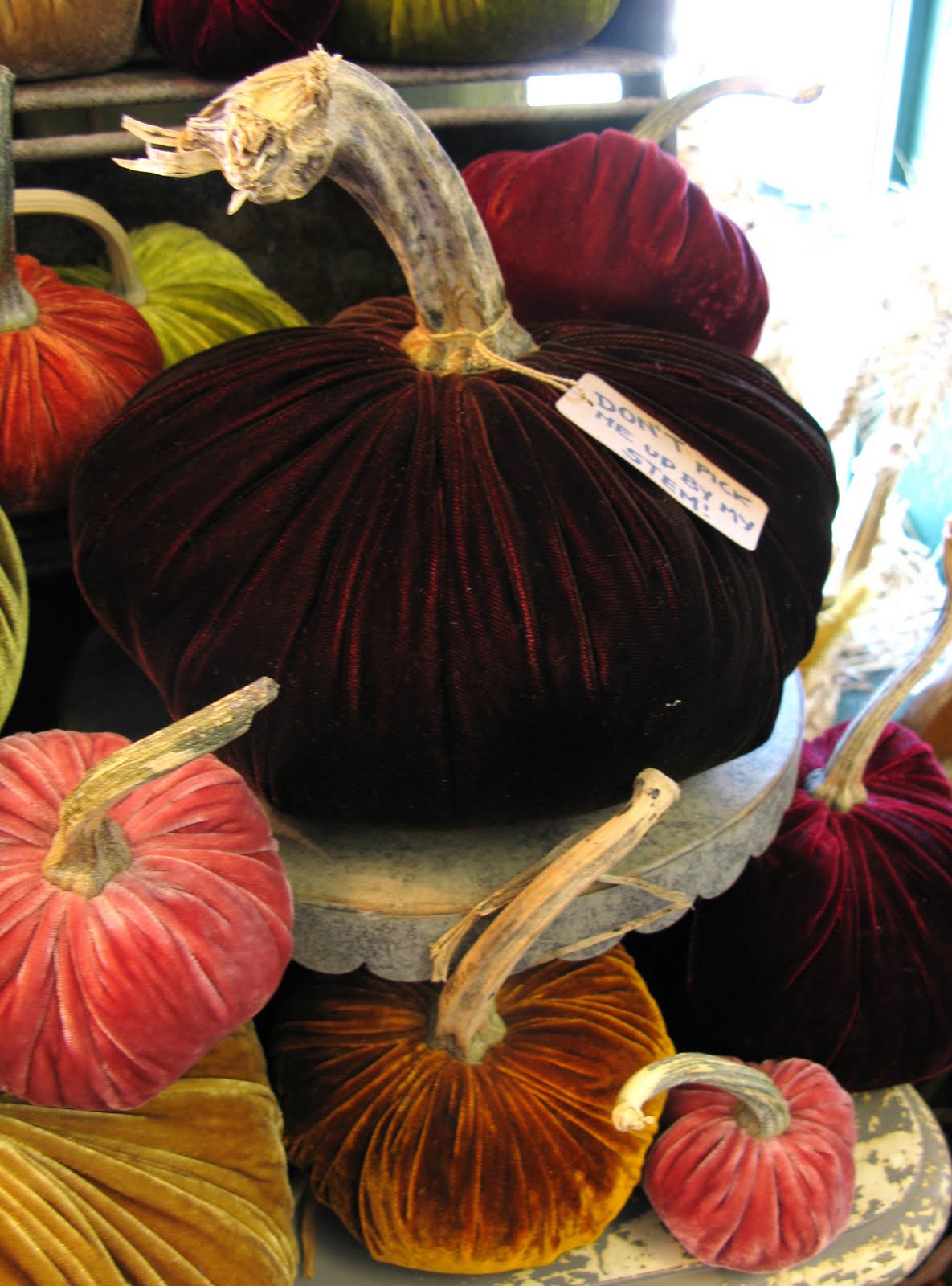 Farmhand Feed and Home Company Velvet Pumpkins!