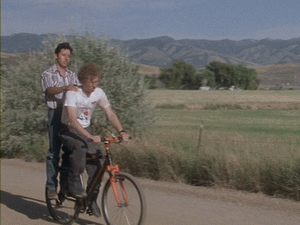 300793785.gif