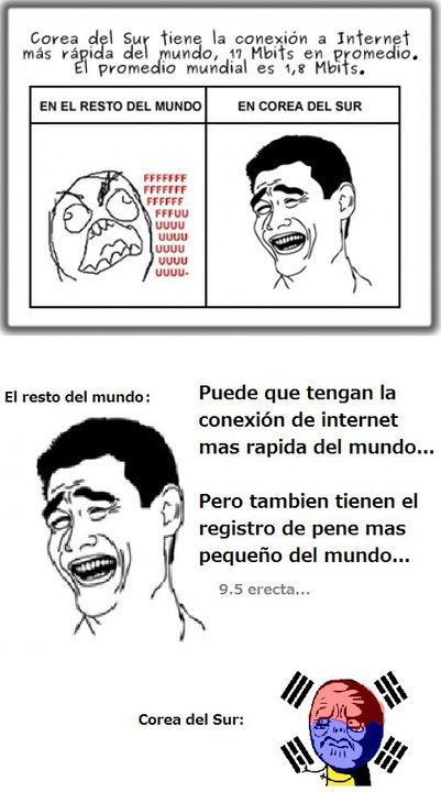 yaoming yaoming