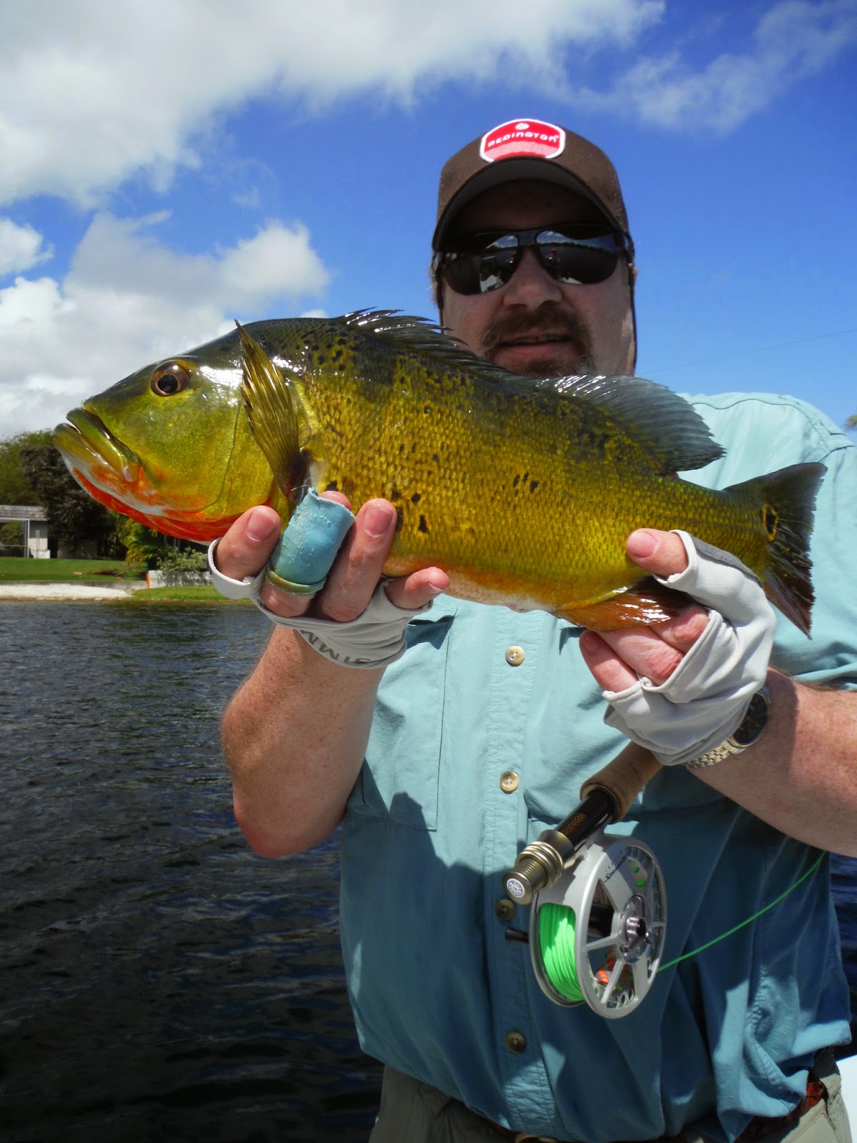 Fly Fishing the West with Howard Fly Fishing For Peacock Bass In Florida