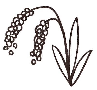 稲のイラスト（植物） モノクロ線画