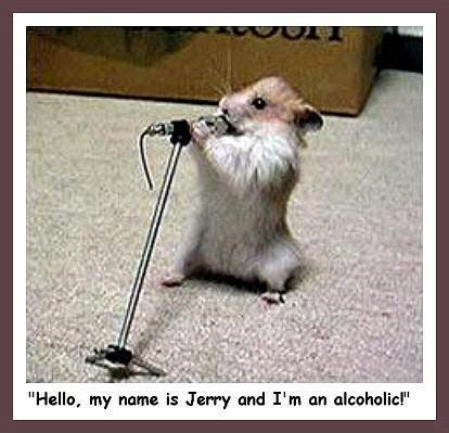 funny animals and people animals with guns funny. funny animals and people