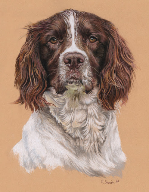 30 гиперреалистичных портрета собак карандашом
