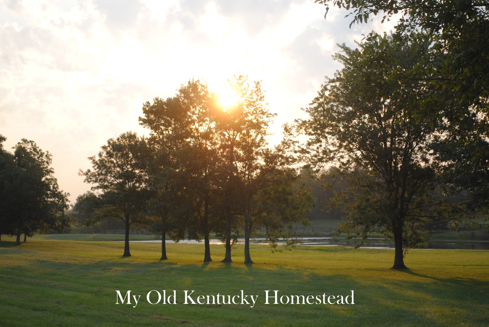My Old Kentucky Homestead