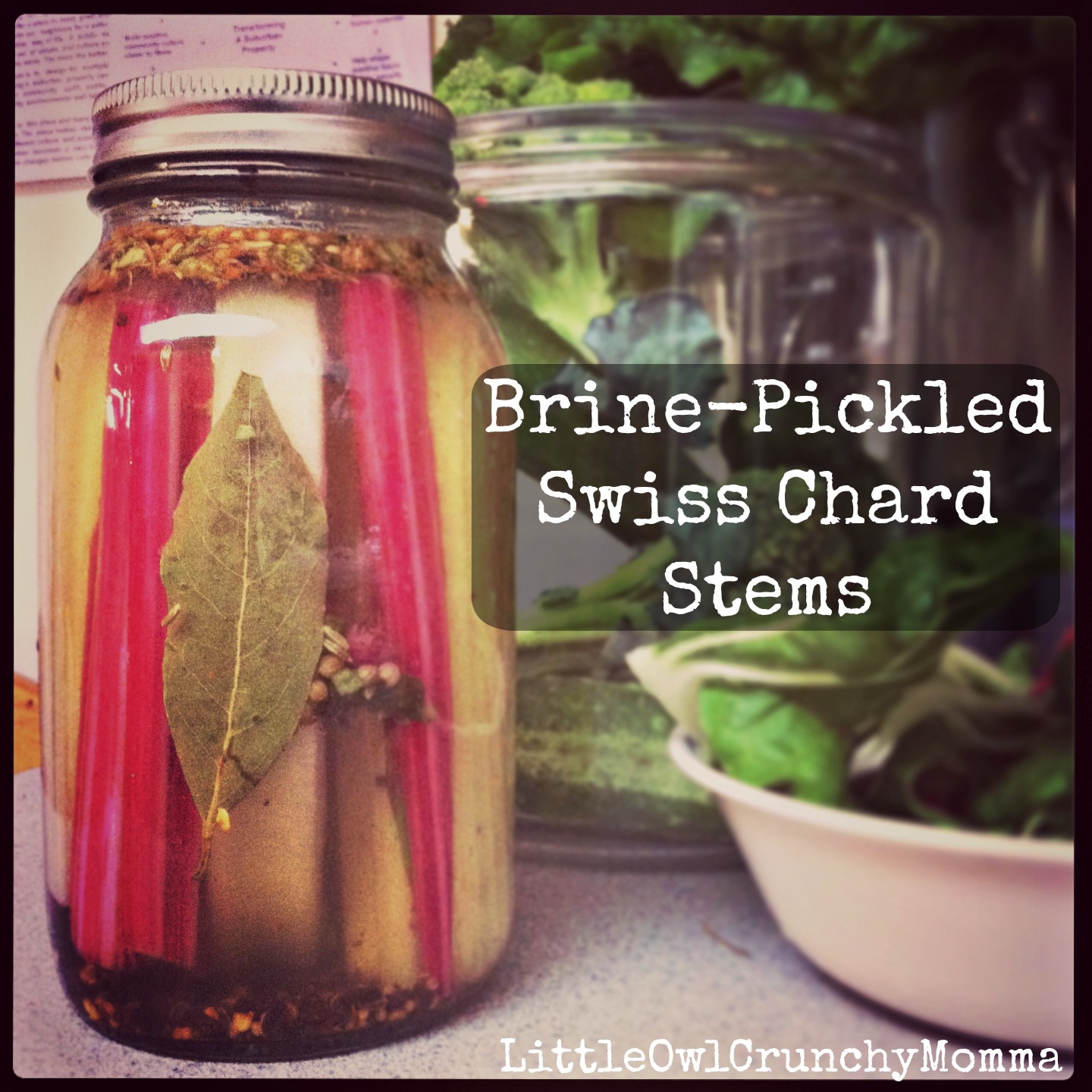 LittleOwlCrunchyMomma BrinePickled Swiss Chard Stems