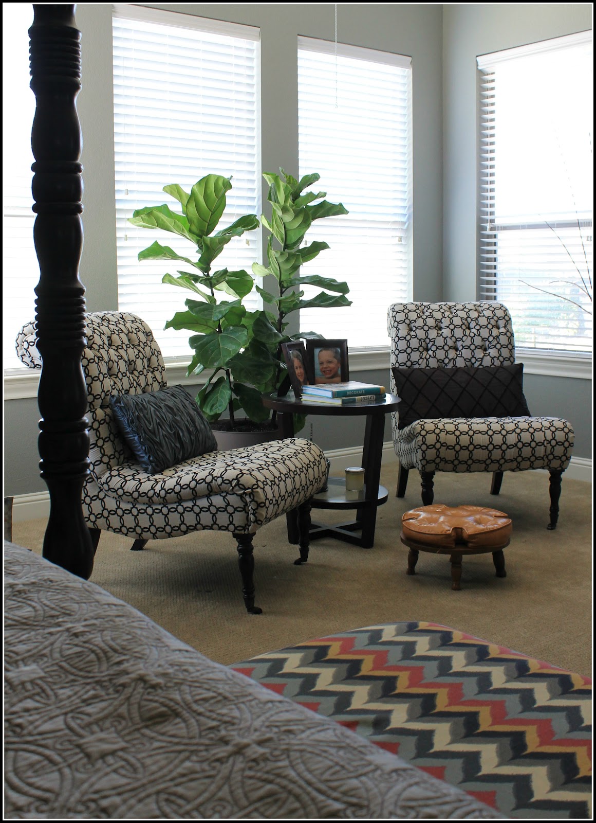 Fiddle Leaf Fig