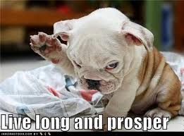 Pedigree Dogs Exposed The Blog Uk Crossbreeds Live Longer Than Purebreds