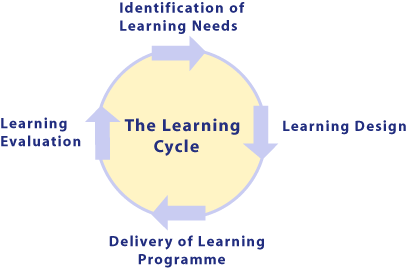 the training cycle essay the training cycle essay