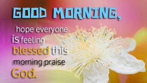 Good Morning Quotes Good Morning Quotes