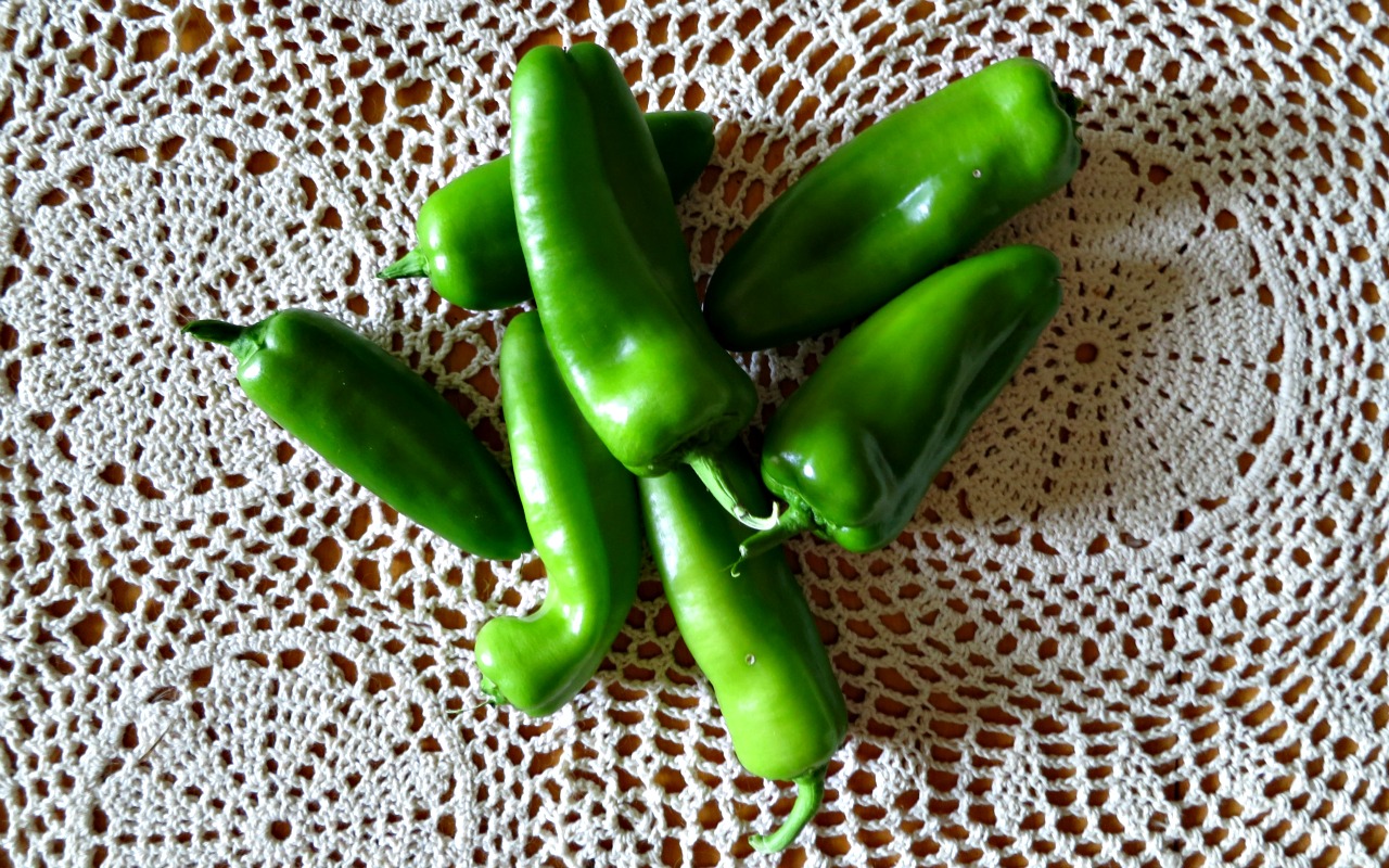 Carolina Backyard Farm growing seeds from grocery store peppers