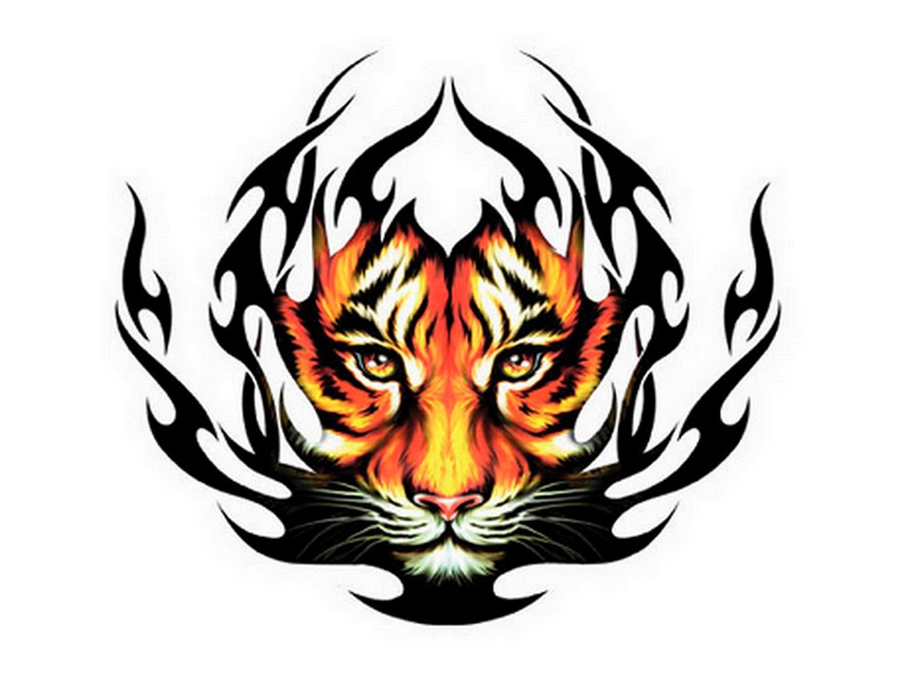 http://4.bp.blogspot.com/-XfGl4HI4z3M/Tpu3yp0eciI/AAAAAAAAAYc/Yw3JOZ4hK6A/s1600/Tiger+wallpaper+3d+%25281%2529.jpeg
