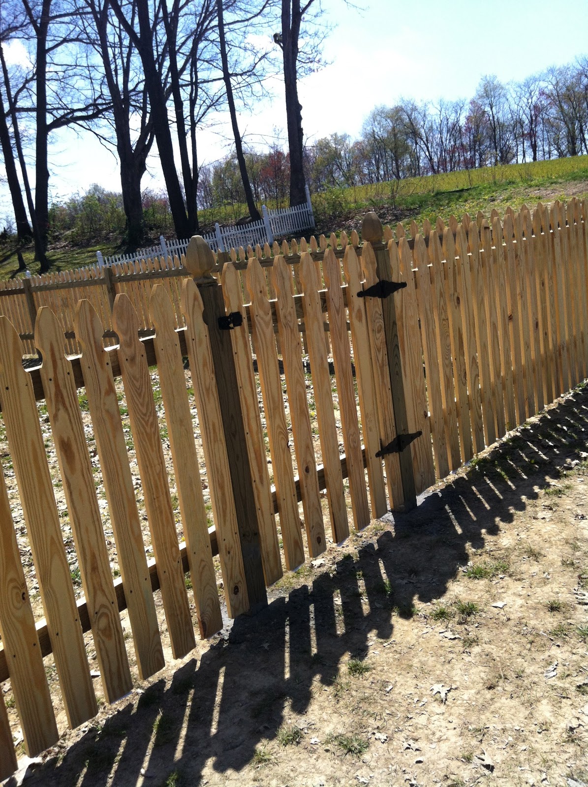 Comfy Cozy: My Soon to be White Picket Fence Garden