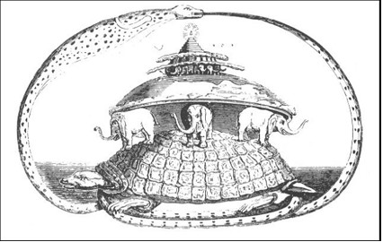 tortuga03.jpg