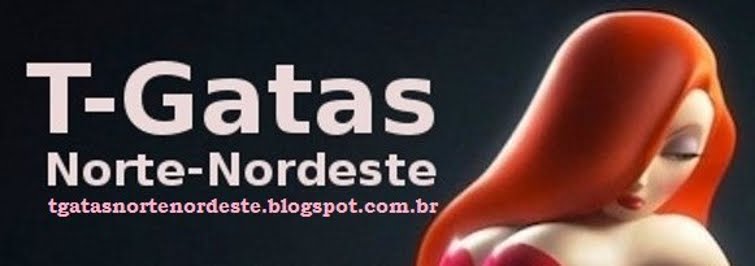 T-Gatas Norte-Nordeste