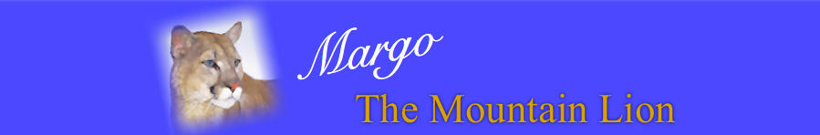 Margo The Mountain Lion
