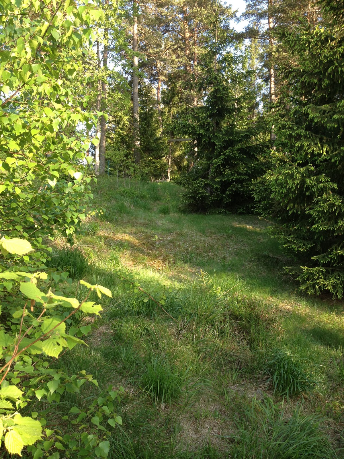 dejta efter 50 herr