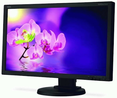 best NEC E231W MultiSync LCD Display Review