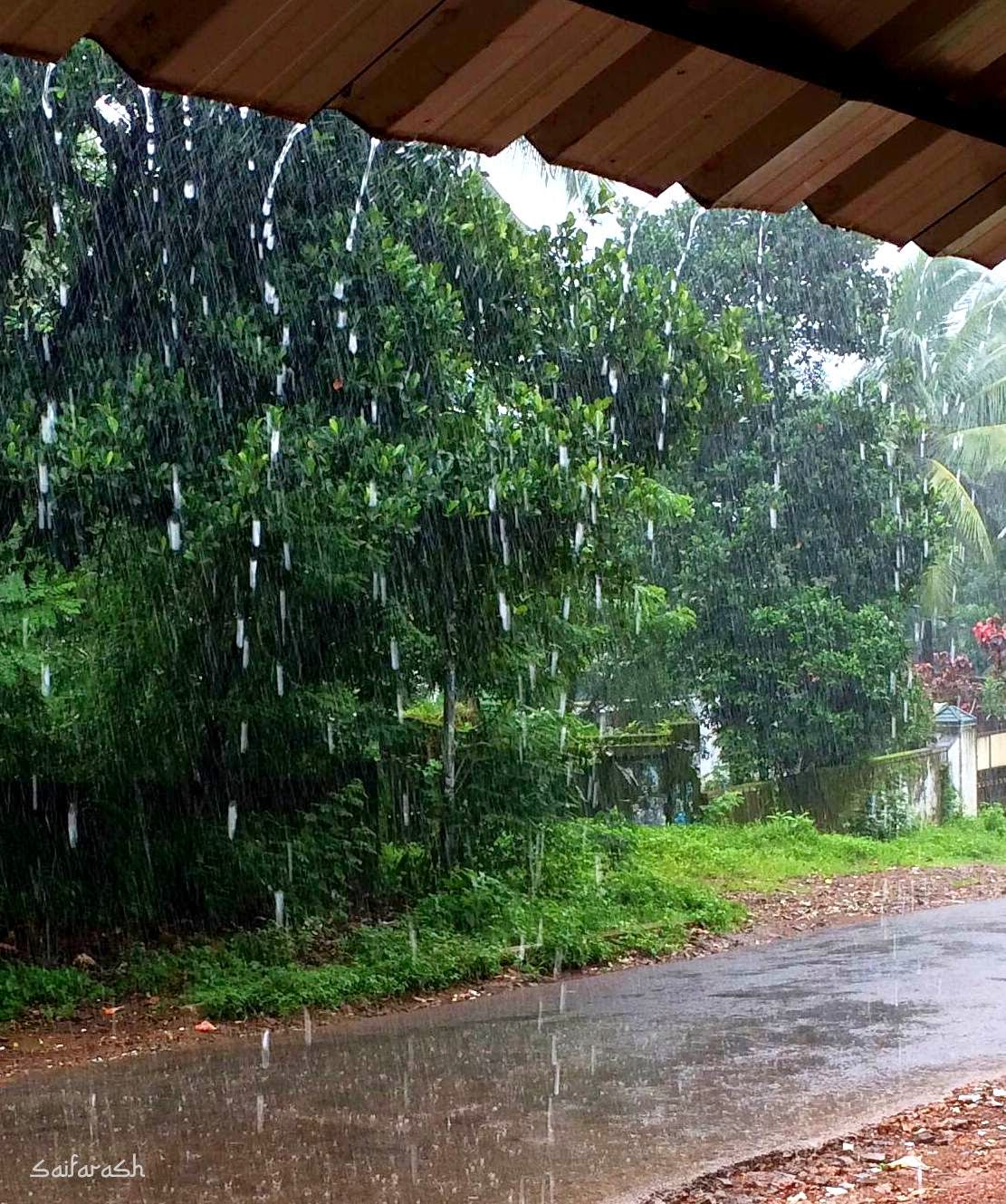 Lista 99+ Imagen Chart Rainy Season Fruits In India Alta Definición Completa, 2k, 4k