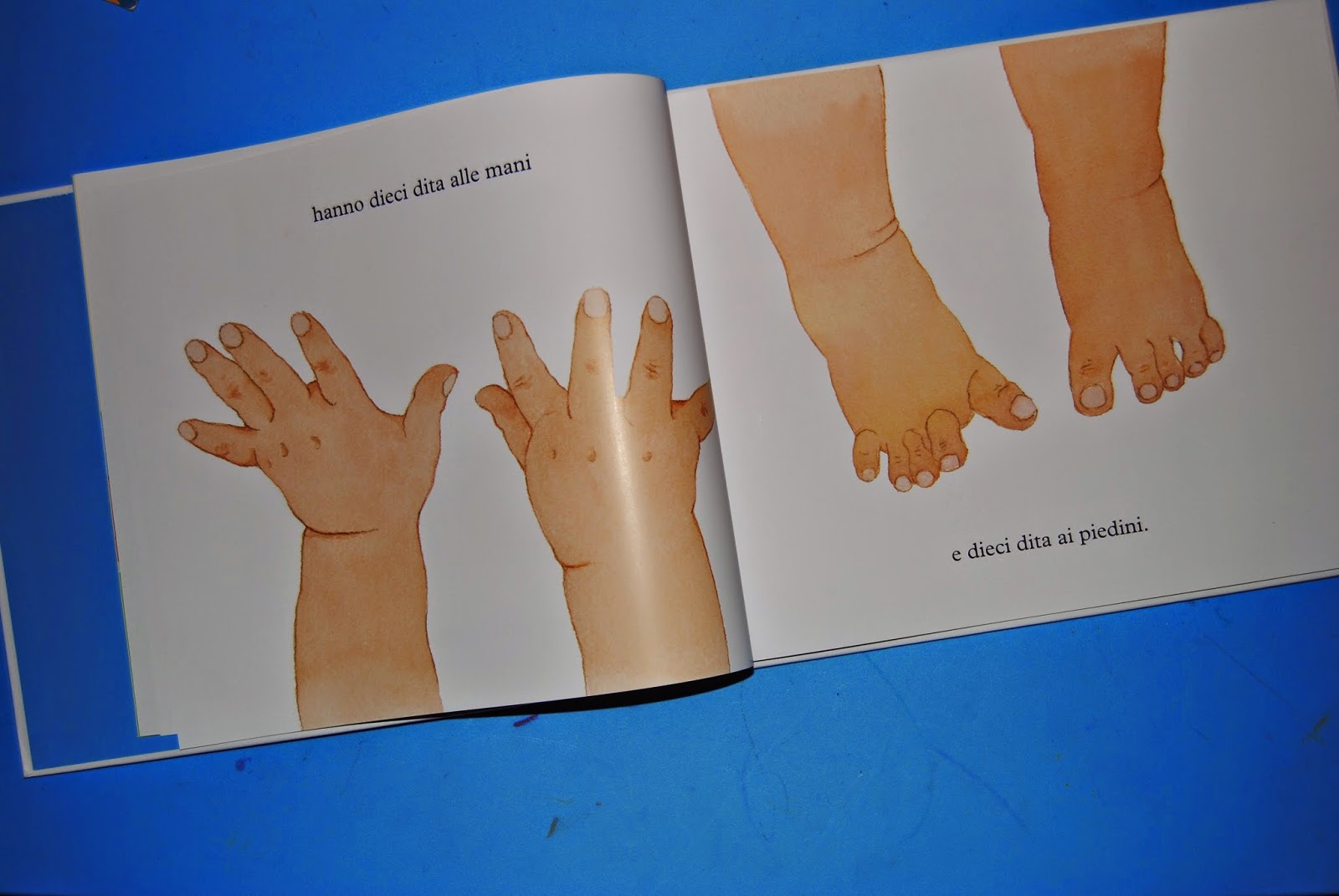 3gufettisulcomo': IL GUFO CON GLI OCCHIALI: Dieci dita alle mani dieci  dita ai piedini