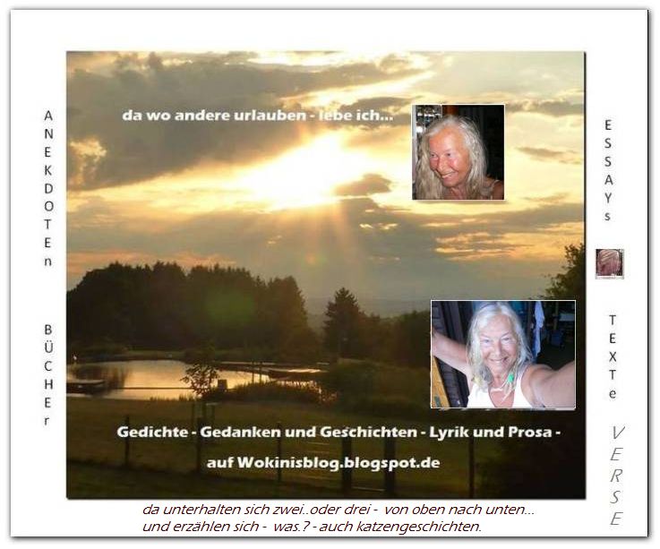 wokinisblog von Angelface