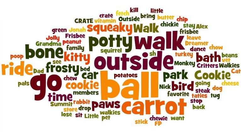 The Chronicles of Cardigan: Survey Shows Dogs Think Their Humans Are