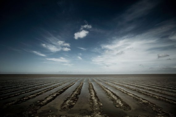 Imagini Desktop ~ Blog D3mon