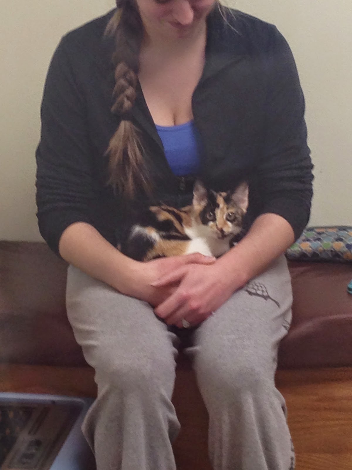 Diary of a RealLife Veterinarian Can't Afford Surgery? Meet Helping Hands.