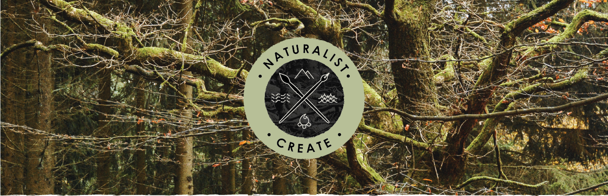 Naturalist Create