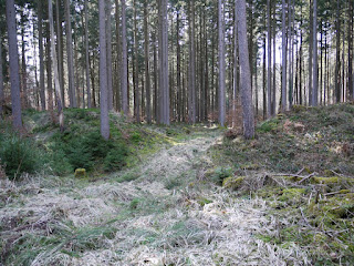 Eingang der Keltenschanze bzw. keltischen Viereckschanze Kreuzpullach Eingang der Keltenschanze bzw. keltischen Viereckschanze Kreuzpullach