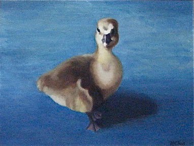 "Baby Goose"- 11 x 14