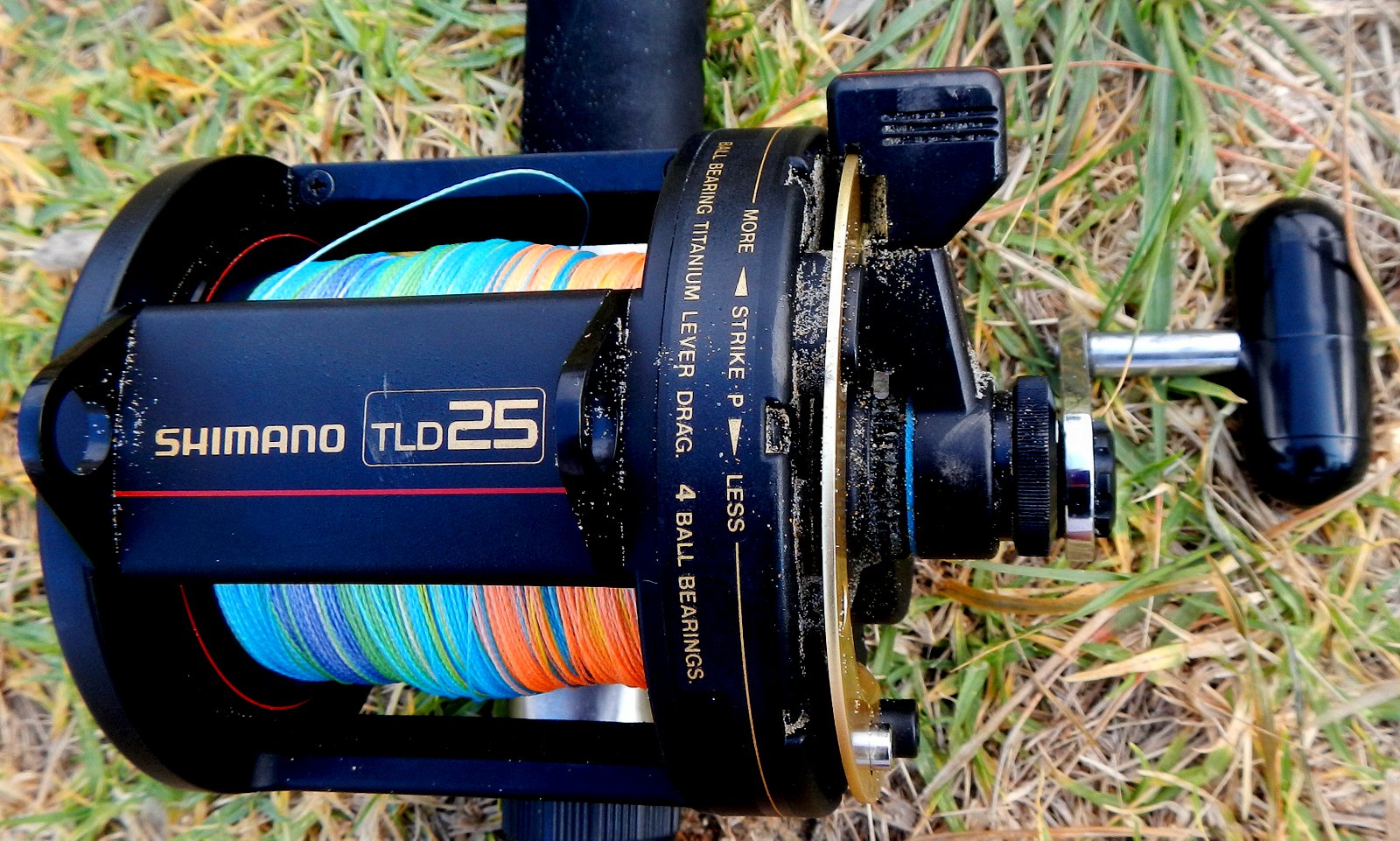 Licorice Allsorts Kite Fishing...