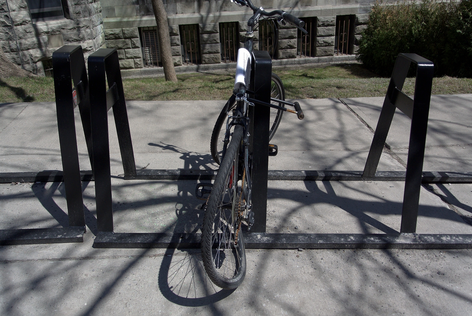 Их быт и нравы: интересные сцены из повседневной жизни (фото)-2