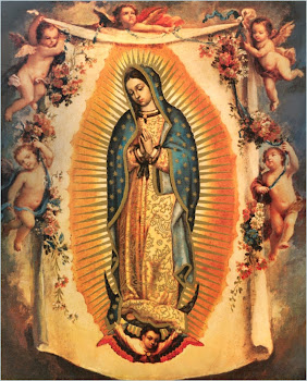 Nossa Senhora de Guadalupe - Padroeira do Blog