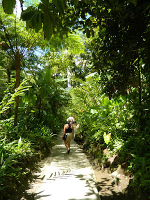 Diamond Botanical Gardens path Soufriere St. Lucia by garden muses-not another Toronto gardening blog