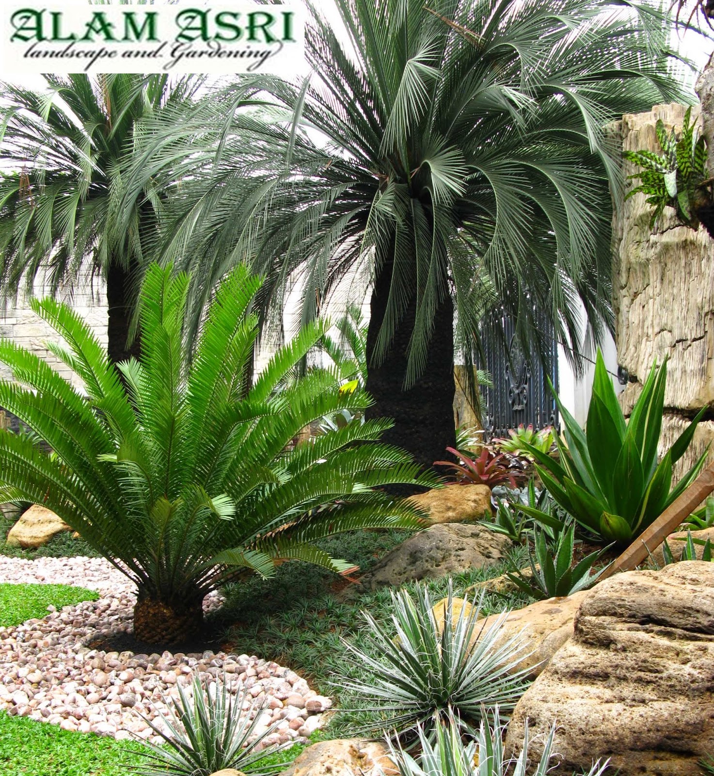 Alam Asri : Arsitek Taman Minimalis