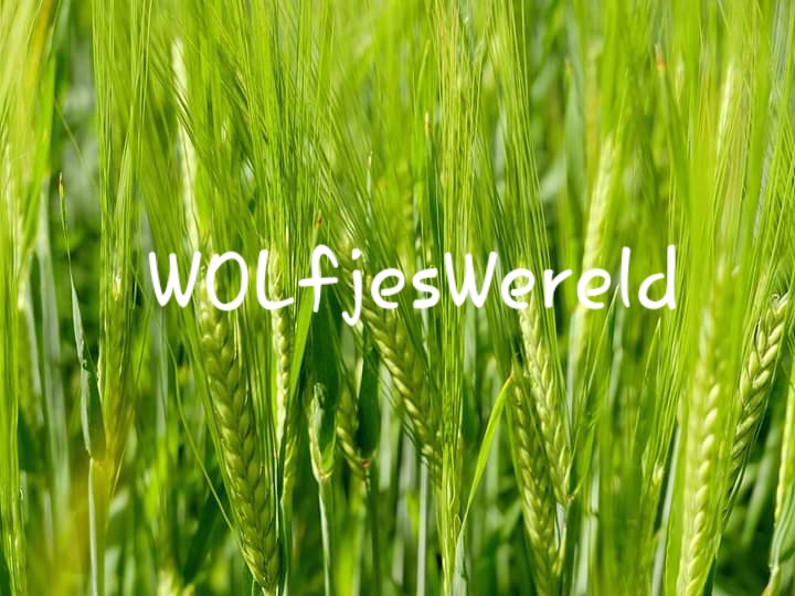 WOLfjes Wereld