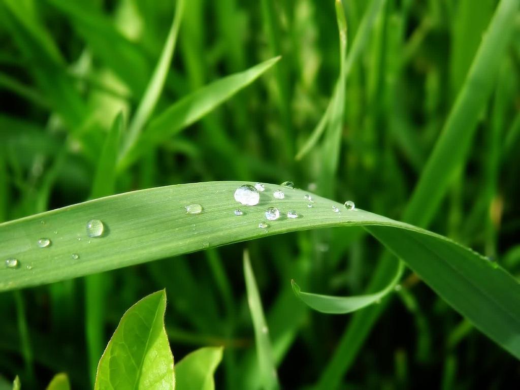 http://4.bp.blogspot.com/-Xjvk2Dh1U0Q/TyfyidHMGTI/AAAAAAAAA7c/t2XpPMpbr1o/s1600/Hi_Res_iPad_Wallpaper_Background.jpg