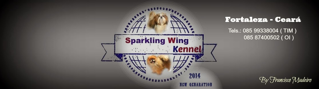 SPARKLING WING KENNEL by  Francisco Madeiro