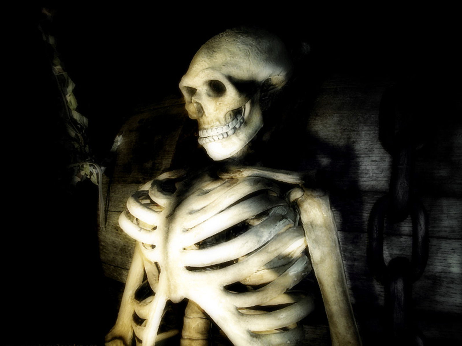 wallpapers: Skeleton Wallpapers