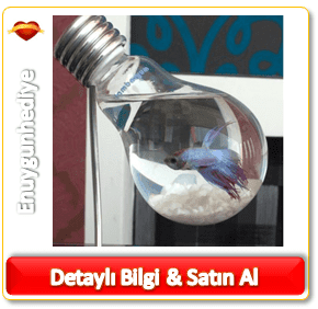 Dekoratif Akvaryum İlginç Hediye Fikirleri