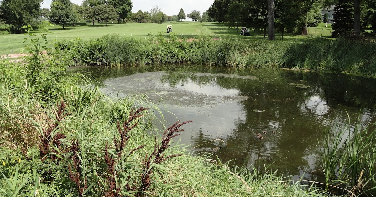 Pond Dredging Naperville Country Club Green Department