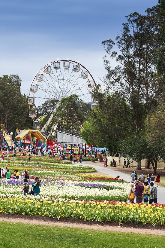 [Image: le-hoi-hoa-nuoc-Uc-7.jpg]