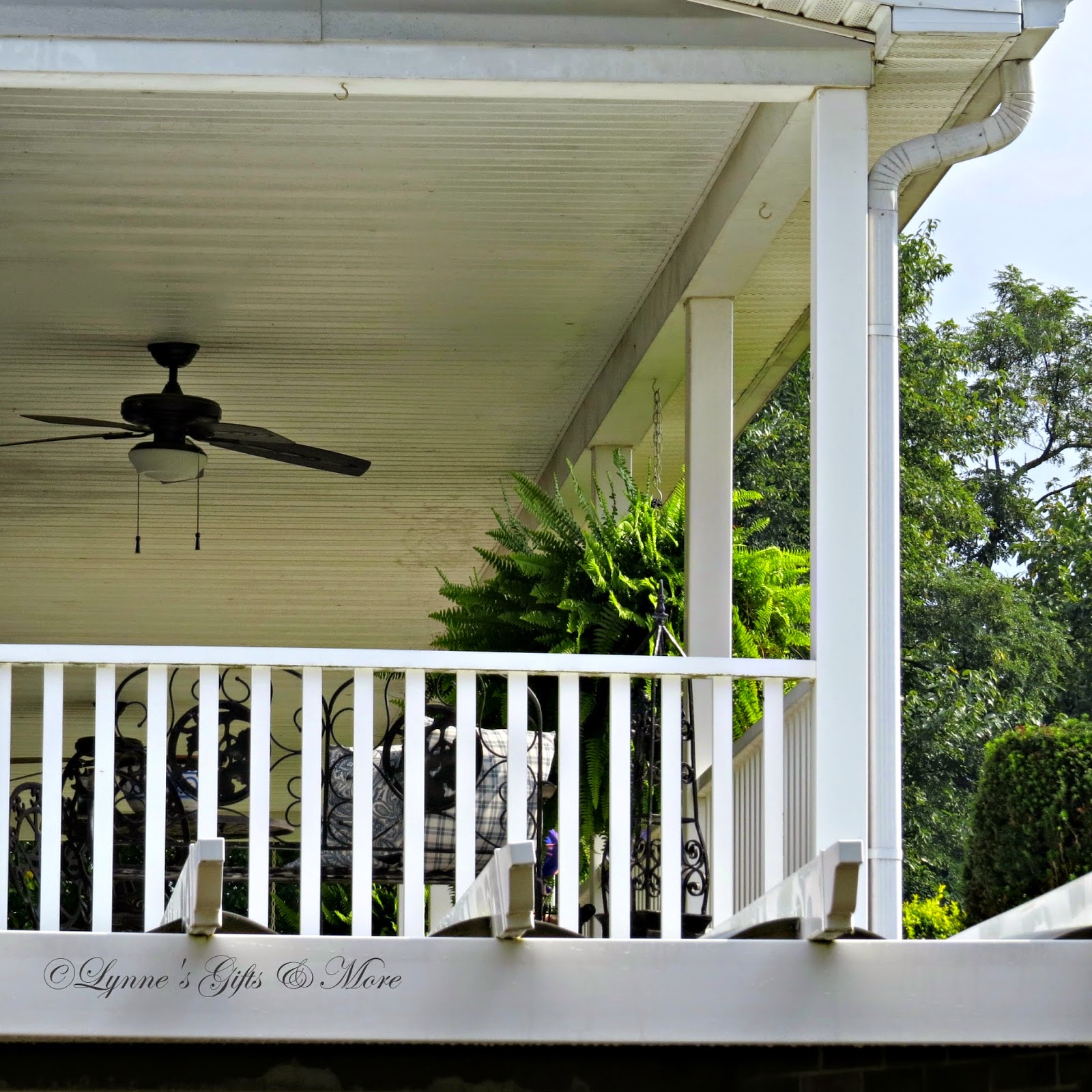Lynne's Gifts From the Heart Late Fall Boston Ferns on the Front Porch